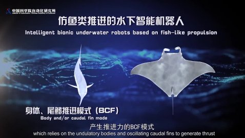 便于对照栏目动态与后续阅读